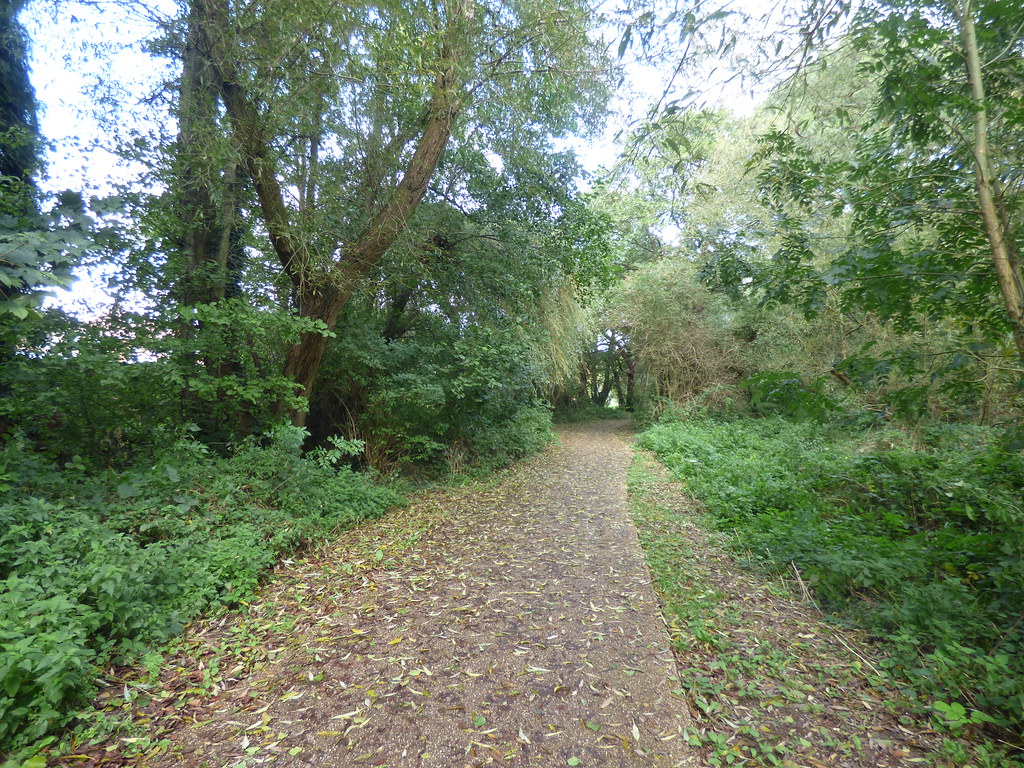 Sheldon Country Park along the Hatchford Brook path Flickr