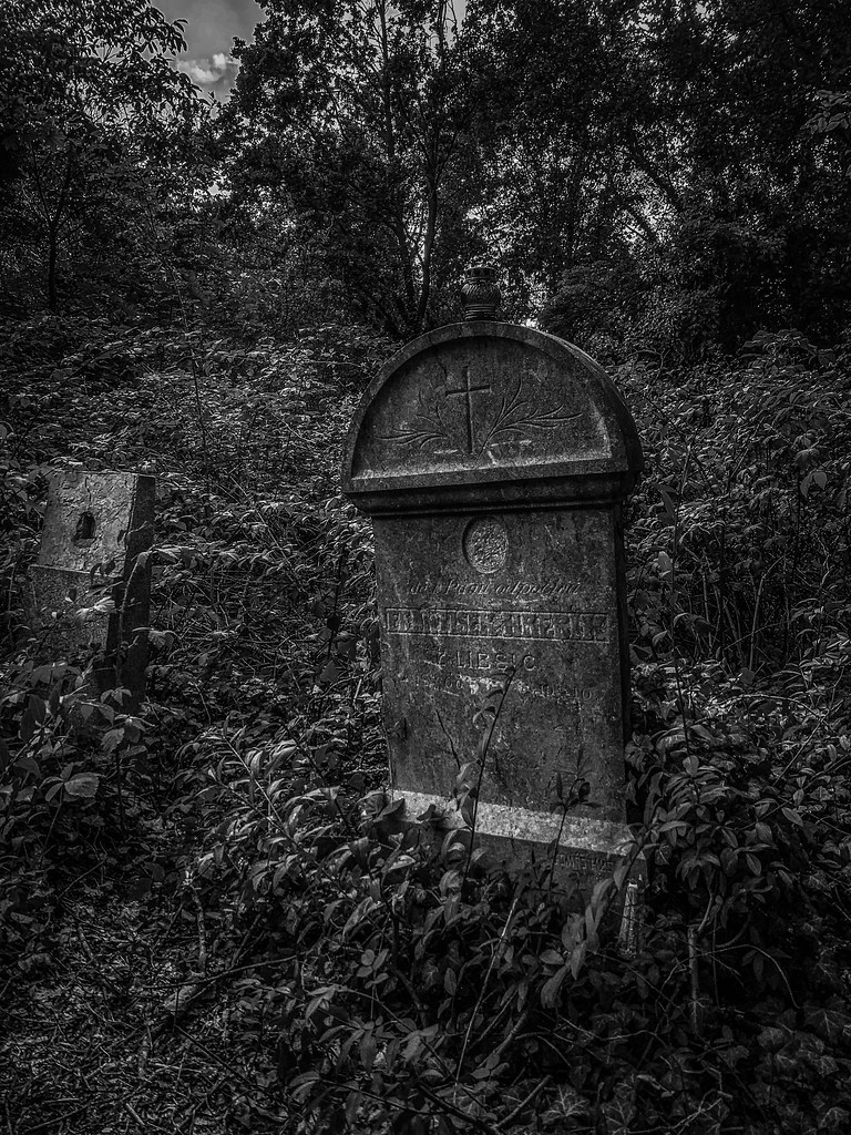 Abandoned cemetery ️ Michael Plevak Flickr