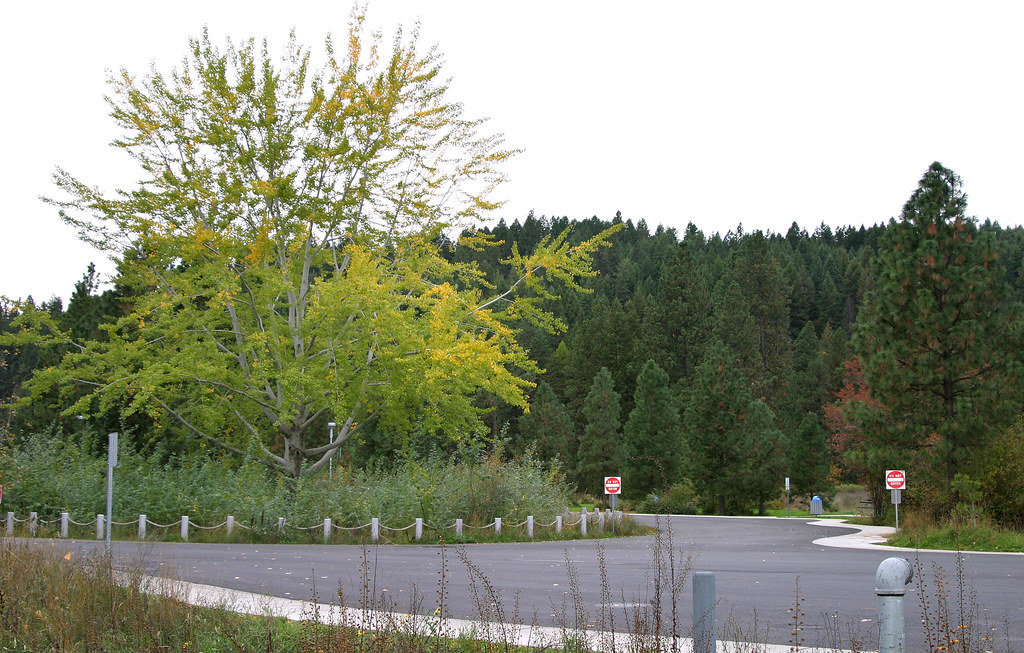 CDAOCT04_0076_Blackwell Island Boat Ramp Blackwell Island … Flickr