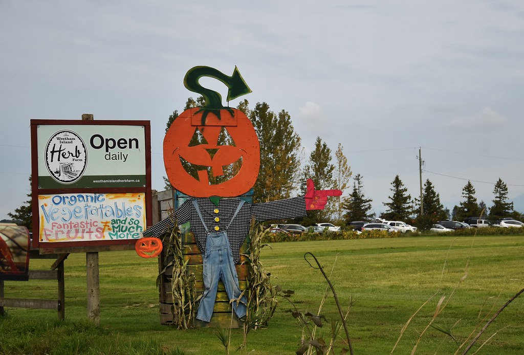 Westham Island Herb Farm a photo on Flickriver