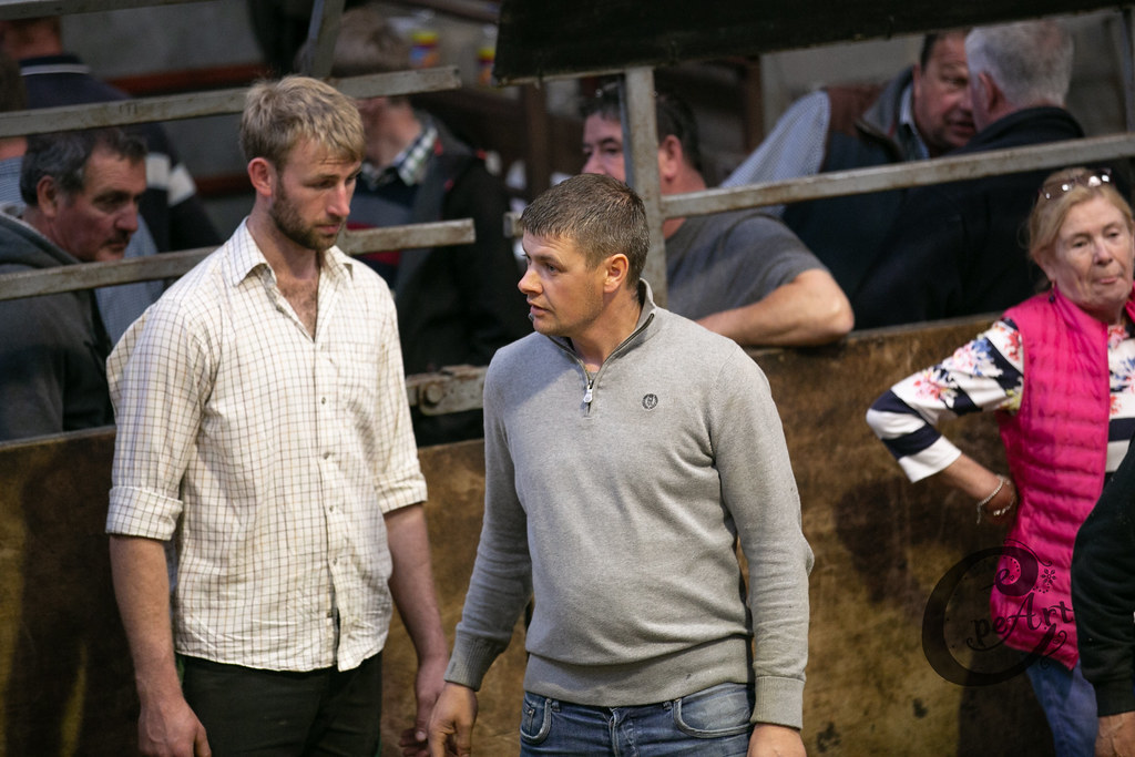 2019 Ram Sale 177 Barnard Castle Auction Mart Flickr