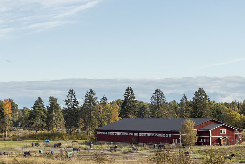 Photos From Haninge Autumn at Berga