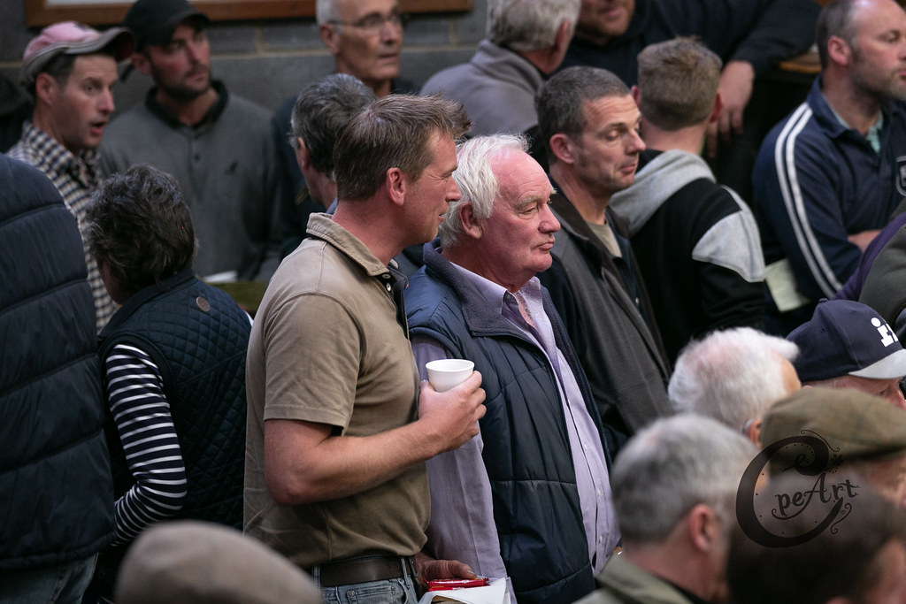 2019 Ram Sale 175 Barnard Castle Auction Mart Flickr