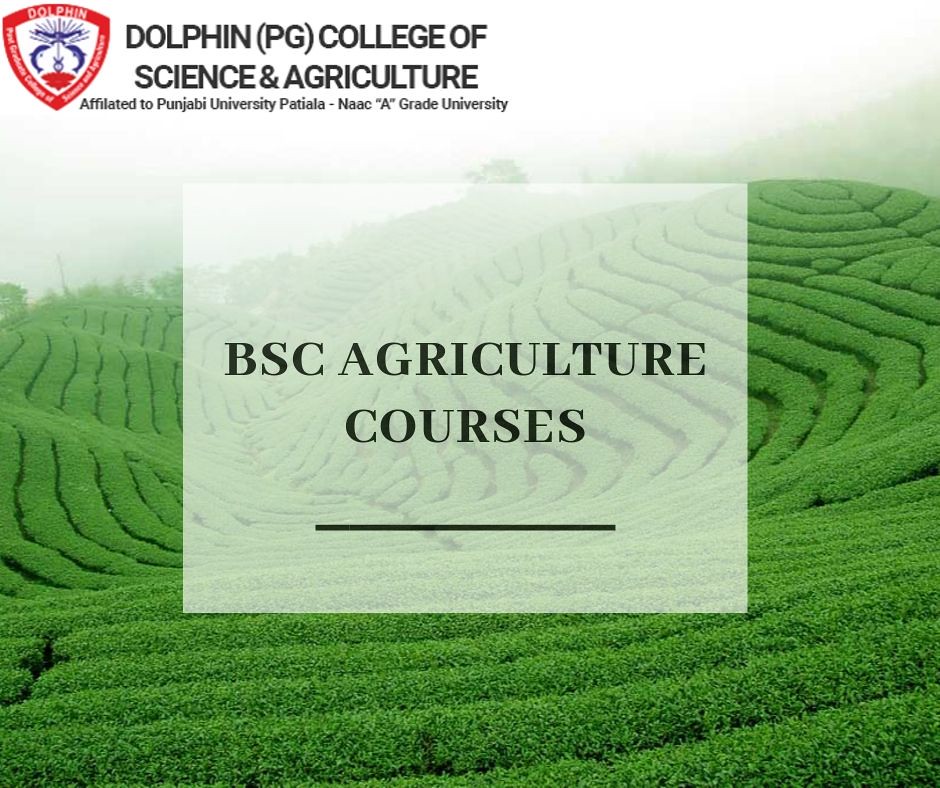 BSc Agriculture Courses Grow your career with BSc Agricult… Flickr