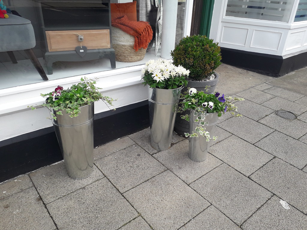 Flowers and Plants in Felixstowe Flickr