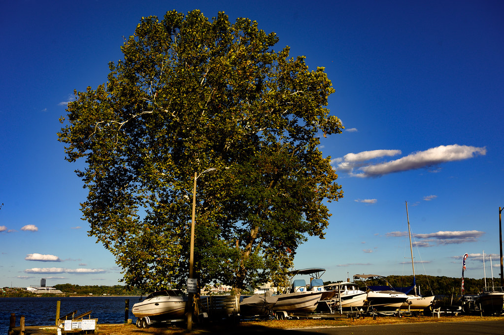 WJW_2608 Belle Haven Marina Alexandria, Virginia Bill Walderman