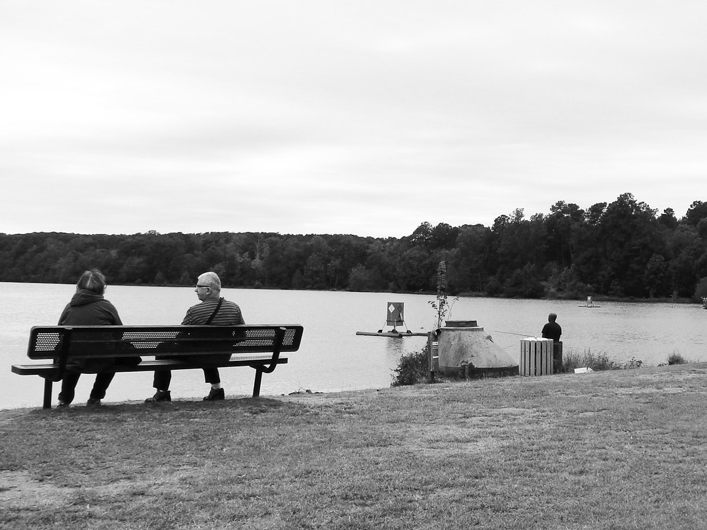 project 8 lily luttrell Flickr