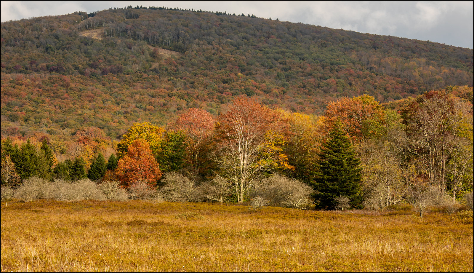 West Virginia Peak Fall Foliage 2023