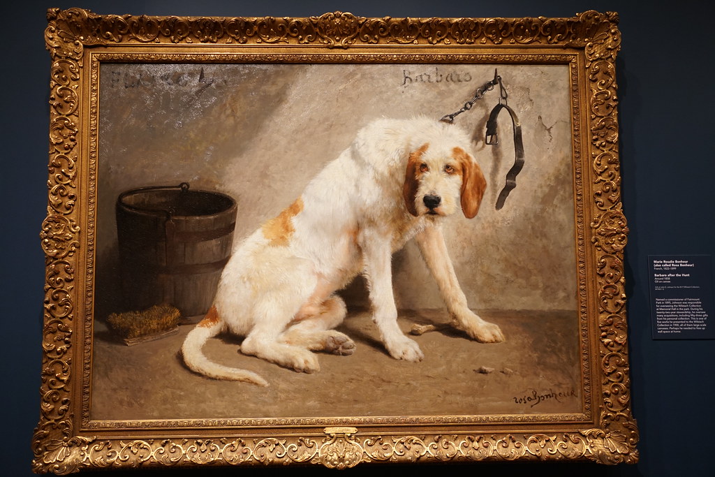 Barbaro after the Hunt PMA(6) Week 2 Dogs (2) (1006 1010… Flickr