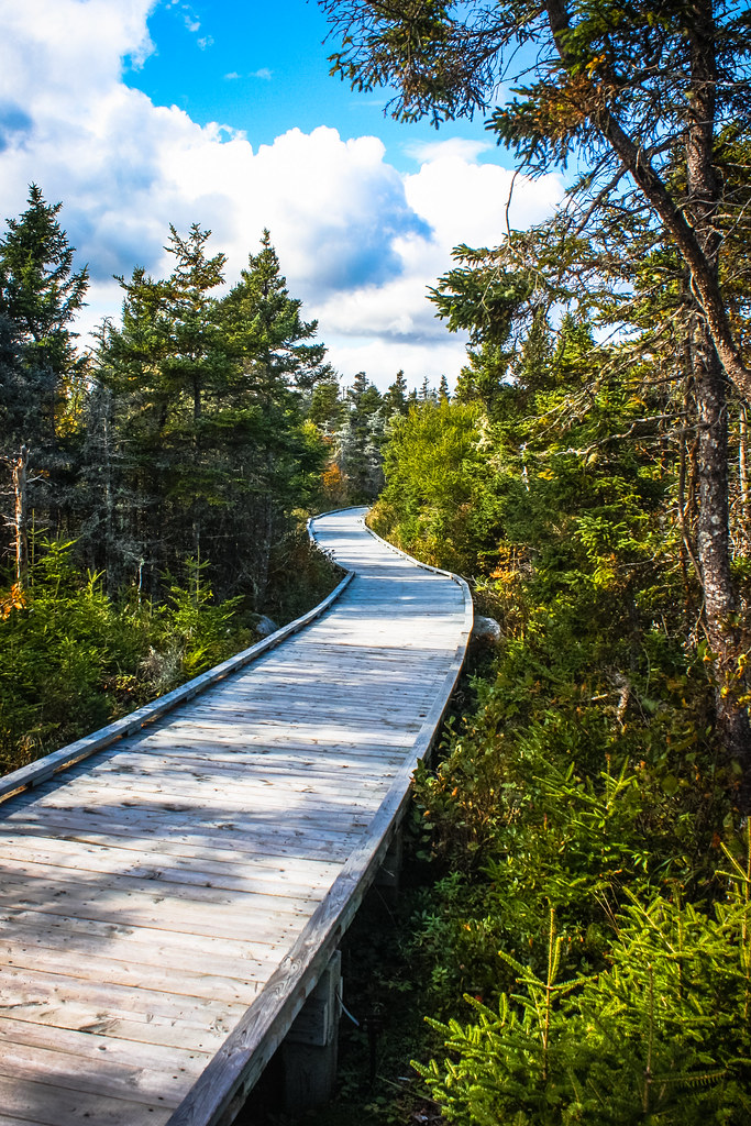 Black Duck Cove Check out our site A Great Capture Flickr