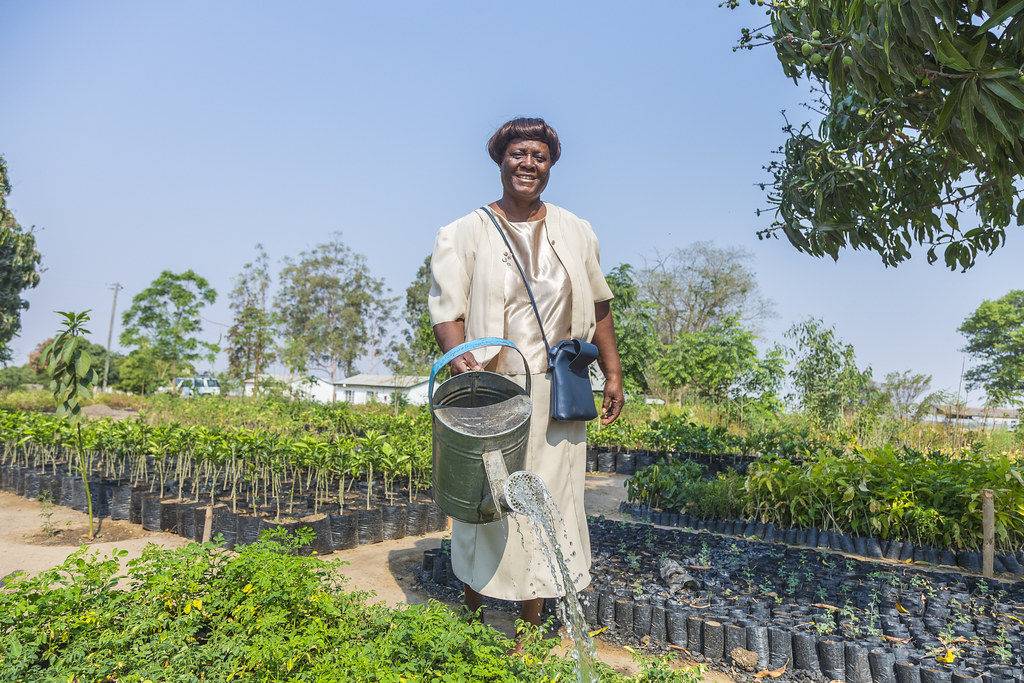 CHOMA, ZAMBIA14 Veronice Nweemba, chairperson of Choma tr… Flickr