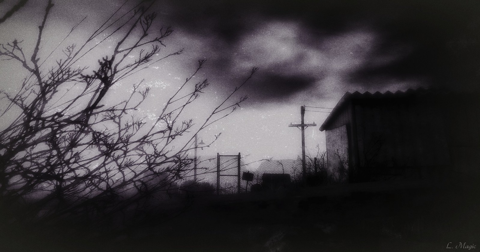 * THE EDGE * Art Gallery Exhibition "AFFLATUS" Flickr