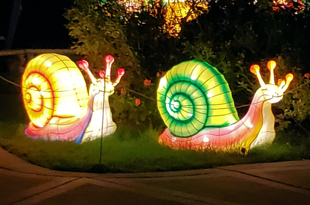 Snails Dragon Lights Festival, Reno, 2018 Verijaa Flickr