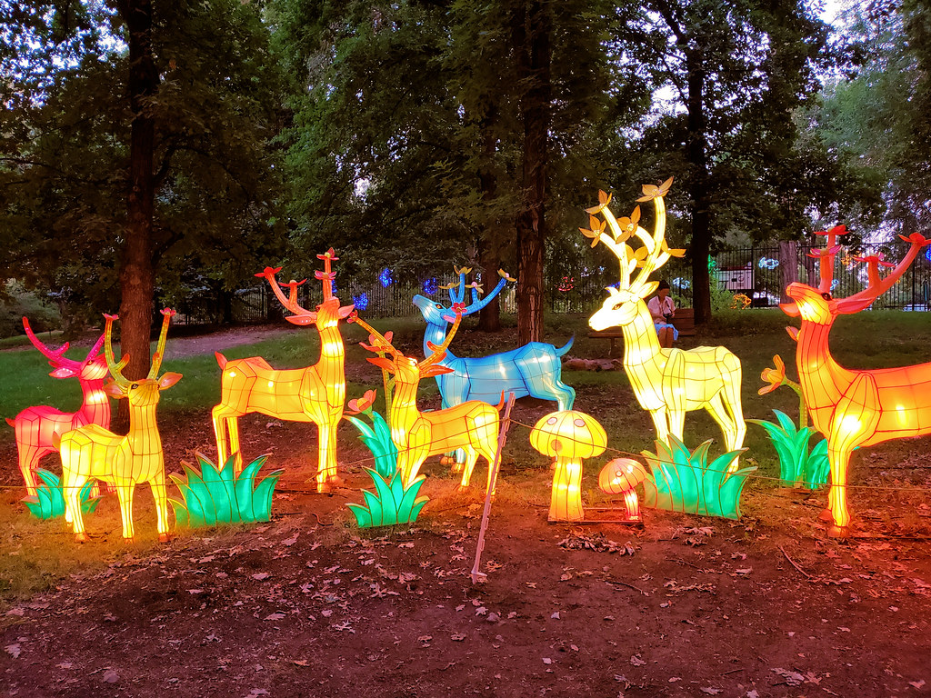 DeerHerd Dragon Lights Festival, Reno, 2018 Verijaa Flickr