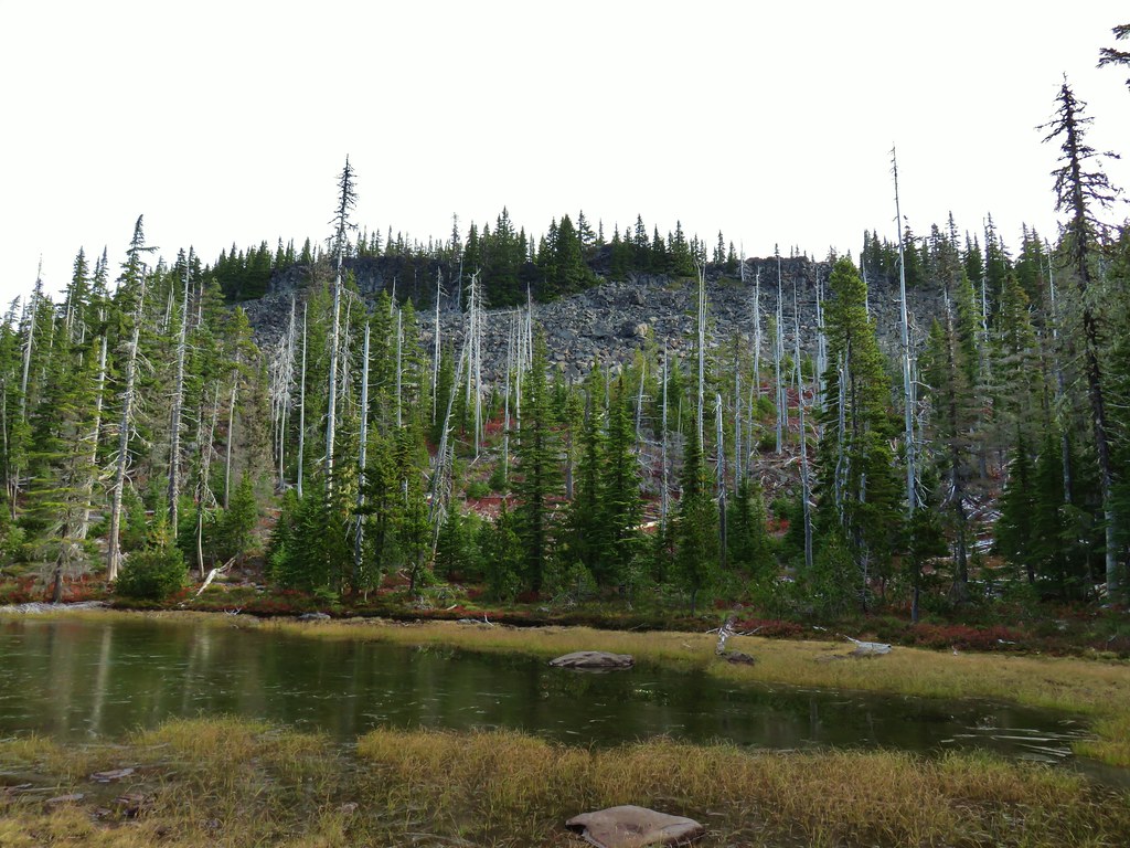 Lodgepole Loop 10/12/2019 wanderingyuncks