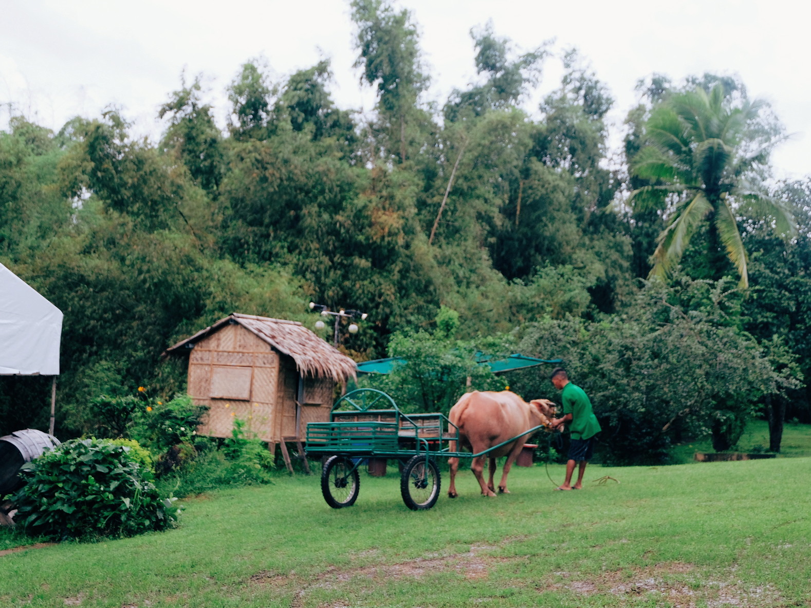 ruthdelacruz Travel and Lifestyle Blog Staycation at Terra Verde
