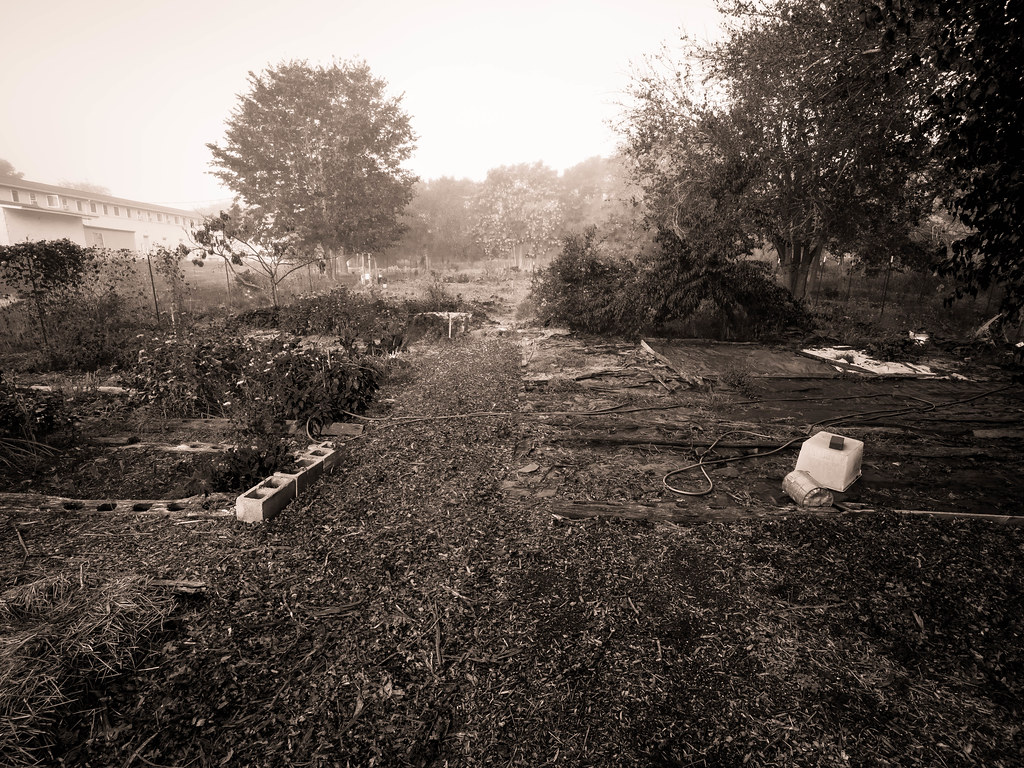 Garden Claymont Court Retreat Center Charlestown, WV Richard Hatch