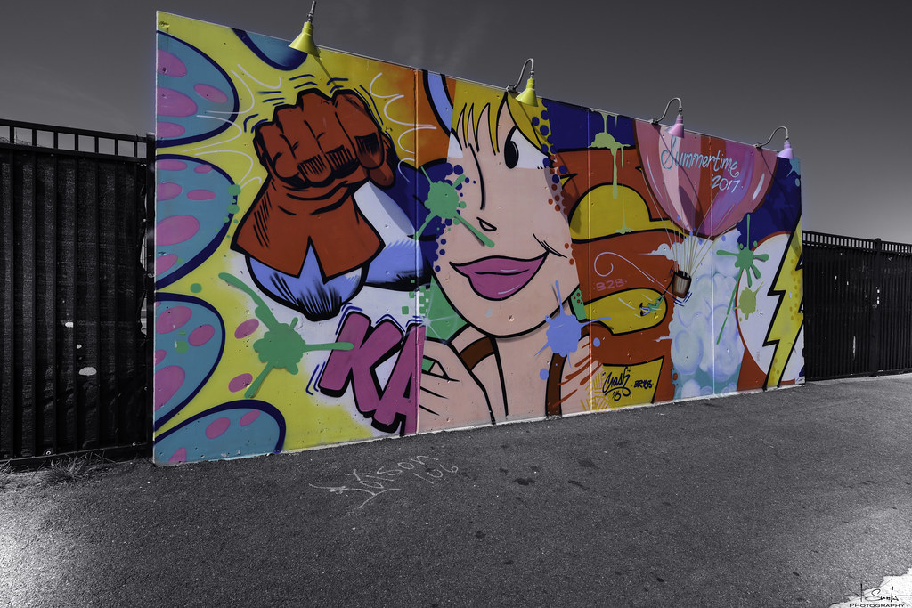 Coney Art Walls Coney Island New York USA Robert Smrekar Flickr