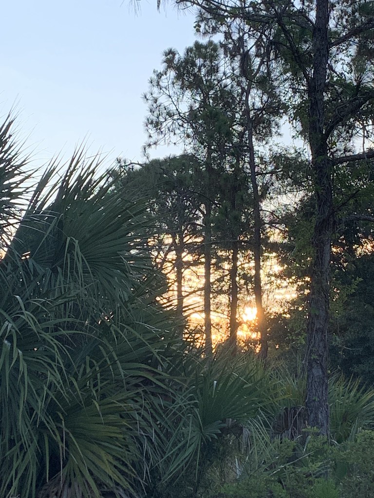 Beacon Woods, Point, FL, USA Sunrise Sunset Times