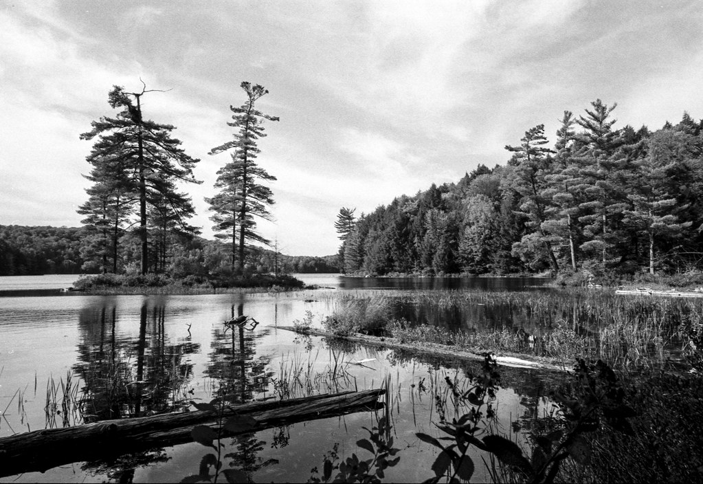 Buck Lake at it's Finest Bill Smith Flickr
