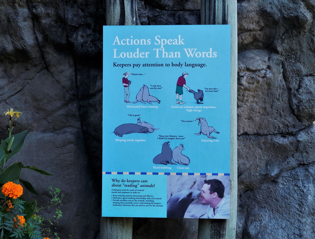 Zookeeper's Read Body Language of the Animals in Their Car… Flickr