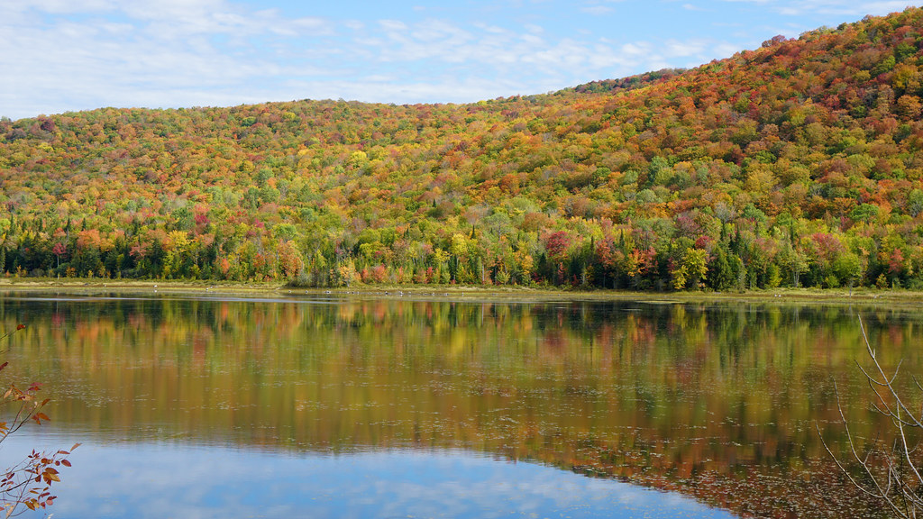 Mosaic Belvidere Pond, Northern VT Francoise100 Flickr