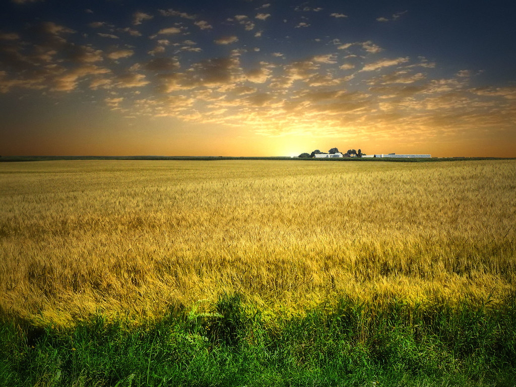 Farmland 22 Stutsman County, North Dakota. Thank you to ev… Flickr