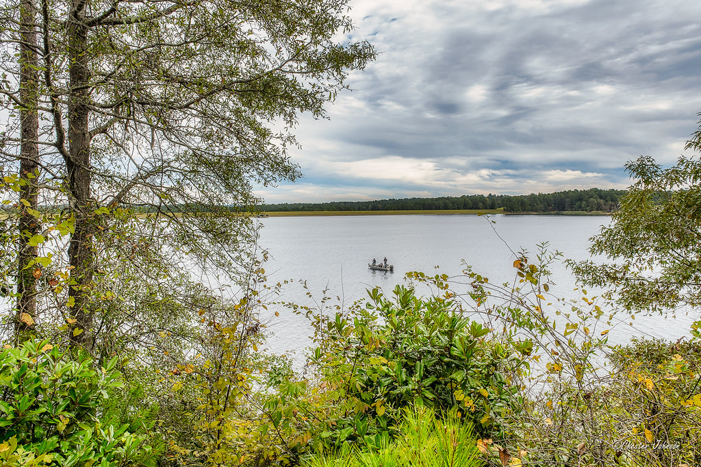 _CBJ5770 Lake Okhissa, near Bude, Mississippi on a Fall da… Flickr