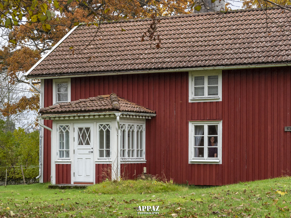 Landscape Östra Hunghult, Sweden 2019 Per Bjarne Pedersen Flickr