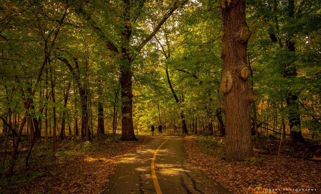 Busse Woods, Illinois BartPhotography Flickr