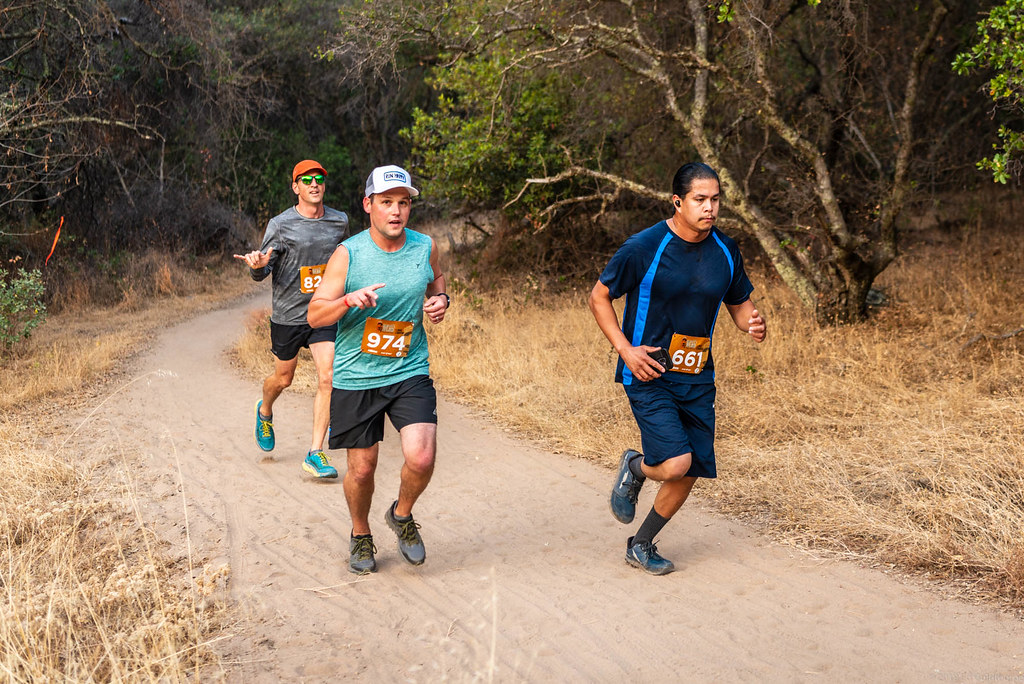 DSC_3083.jpg suburban trunk monkey Flickr