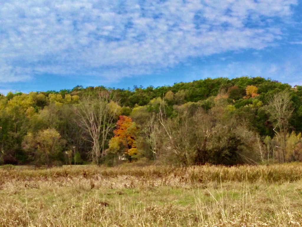 Autumn Landscape Roselle Park, Ada, Michigan USA neukomment Flickr