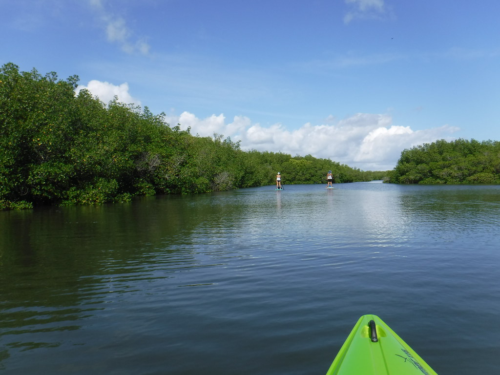 DSCF2433 Kayaking on the Indian River sailn1 Flickr