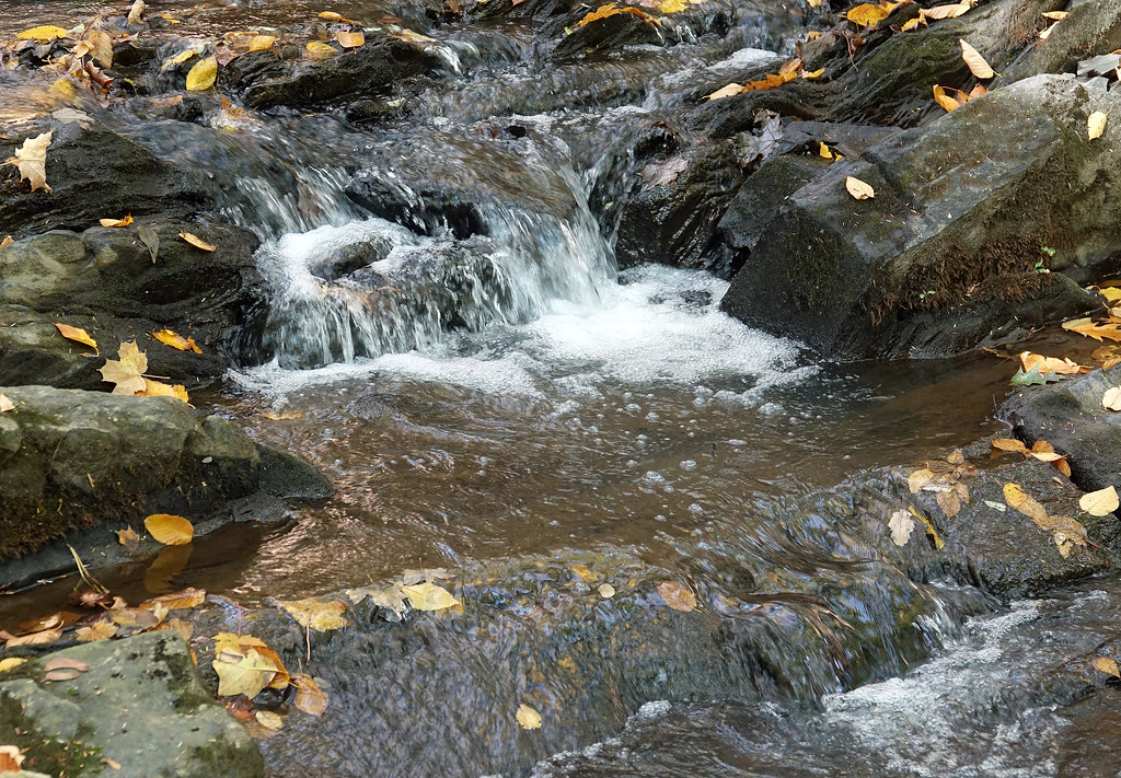 Falling Waters Preserve Saugerties, New York Eugene Ward Flickr