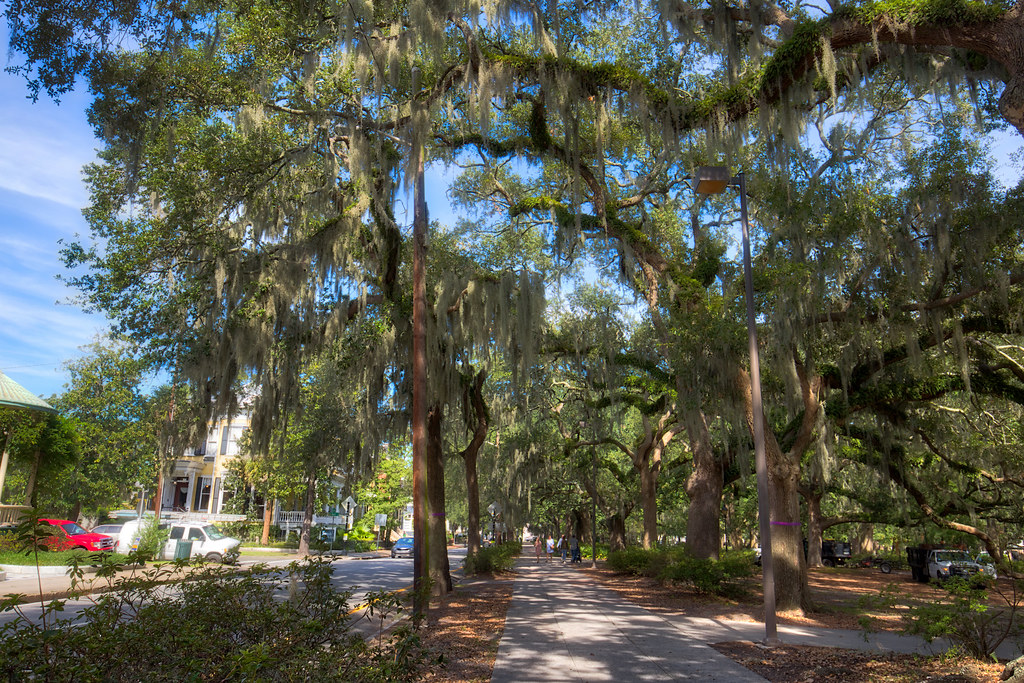 Forsyth Park tmac97slc Flickr