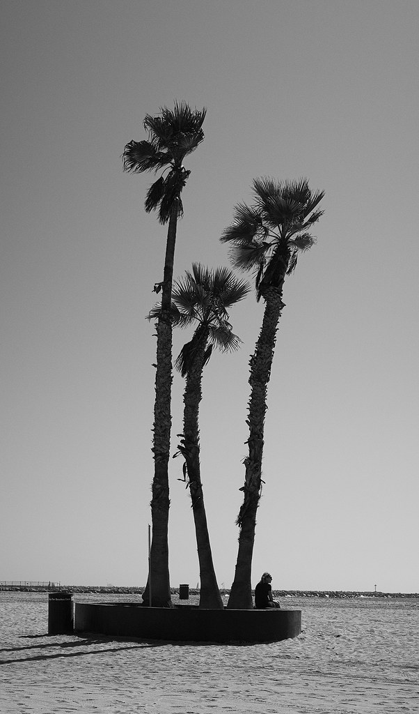 Beach day Seal Beach, Ca. michaelj1998 Flickr