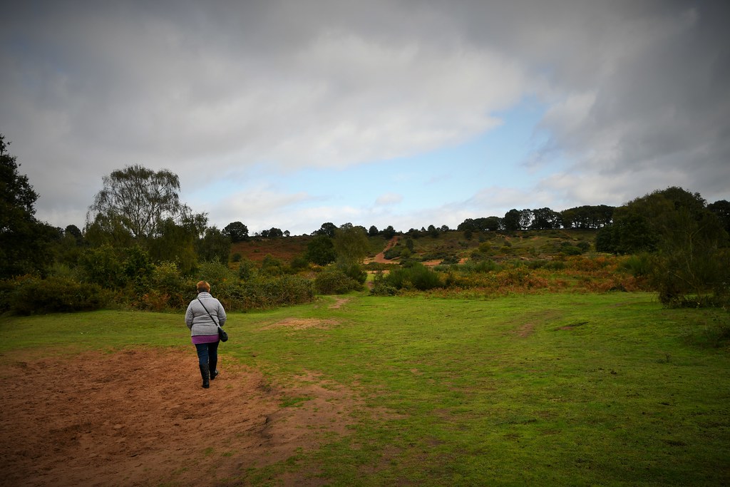 Hartlebury Common 2019 Flickr