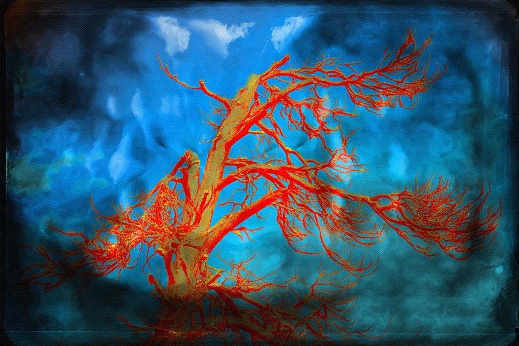 The tree of liberty... “The tree of liberty must be refres… Flickr