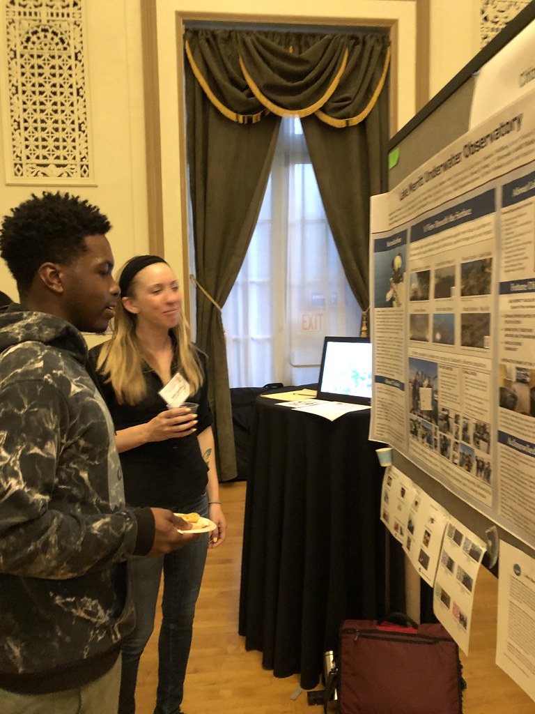 IMG_6007 Katharine Noonan Flickr