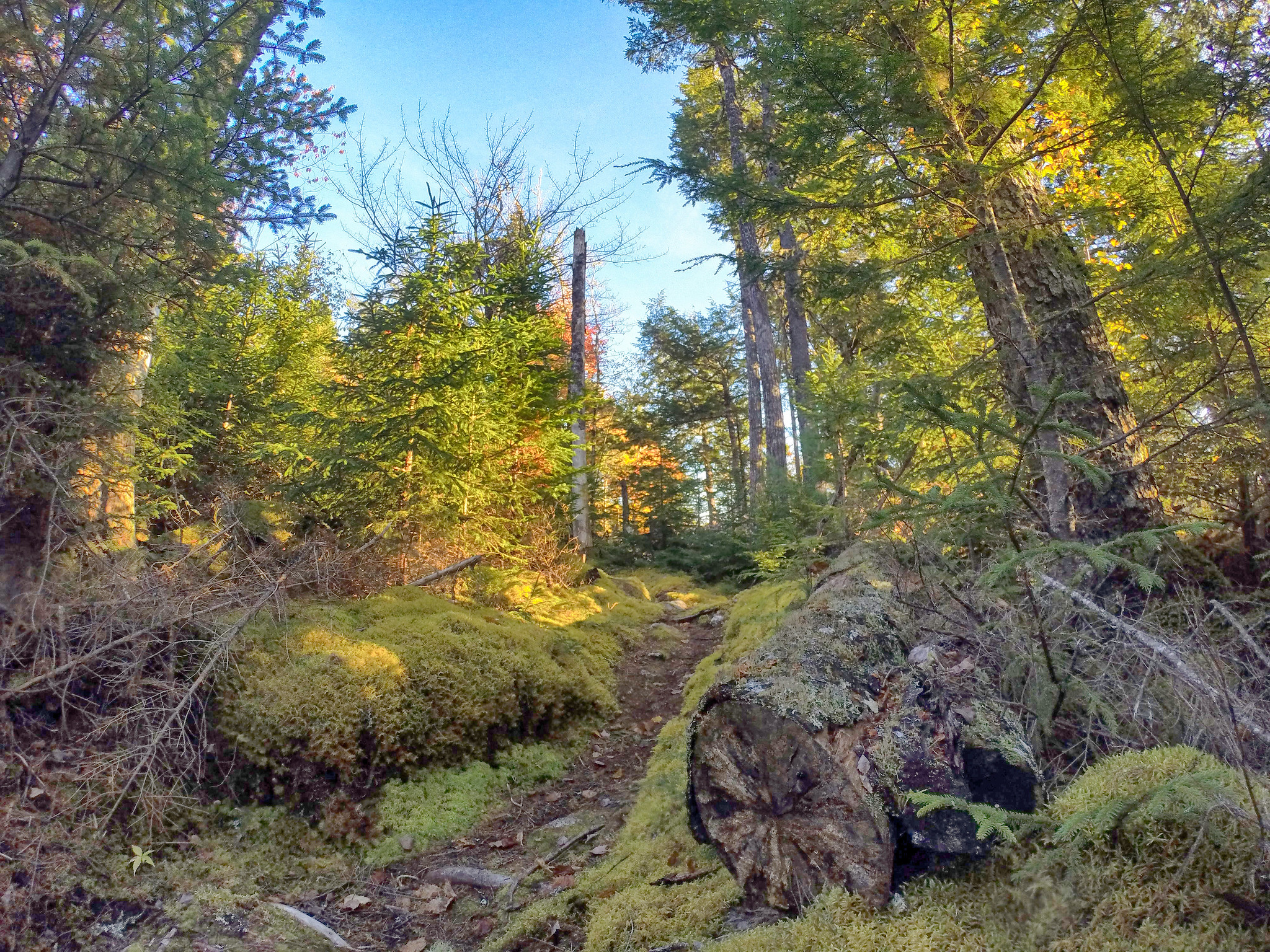 Photos The Musquodoboit Trailway, Nova Scotia