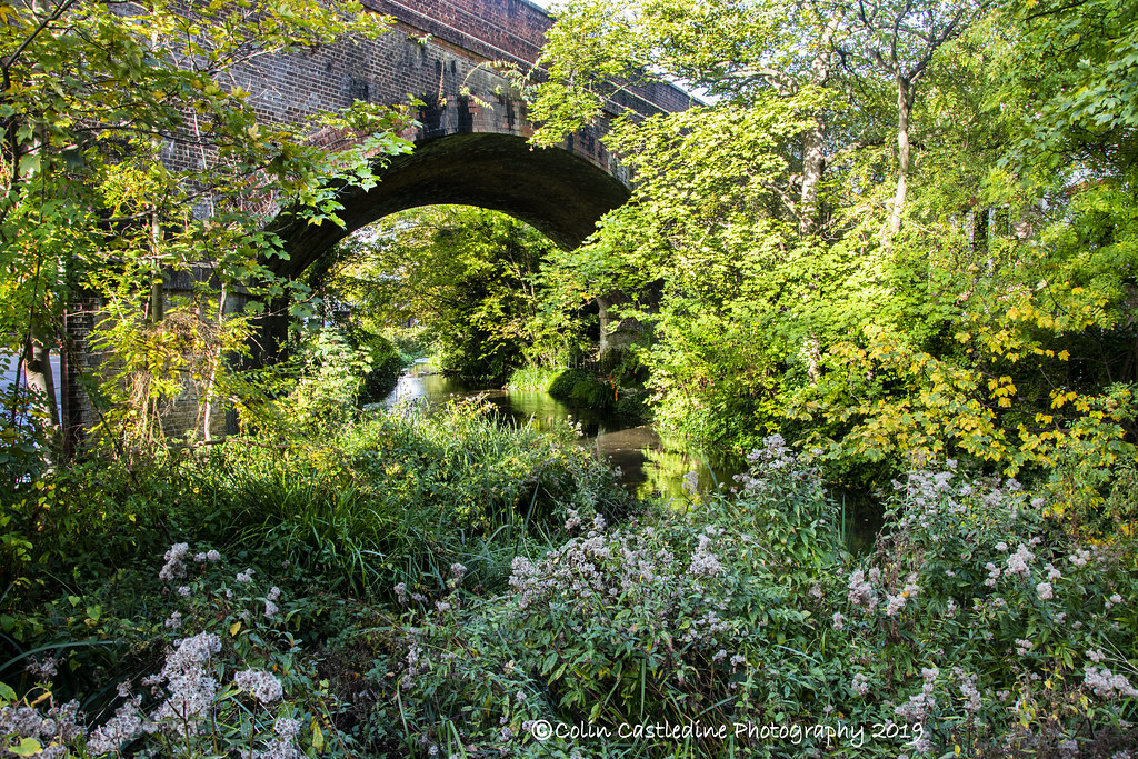 Mill Lane DSC_0072 a 3 Arch Bridge, Mill Lane, Carshalton,… Colin