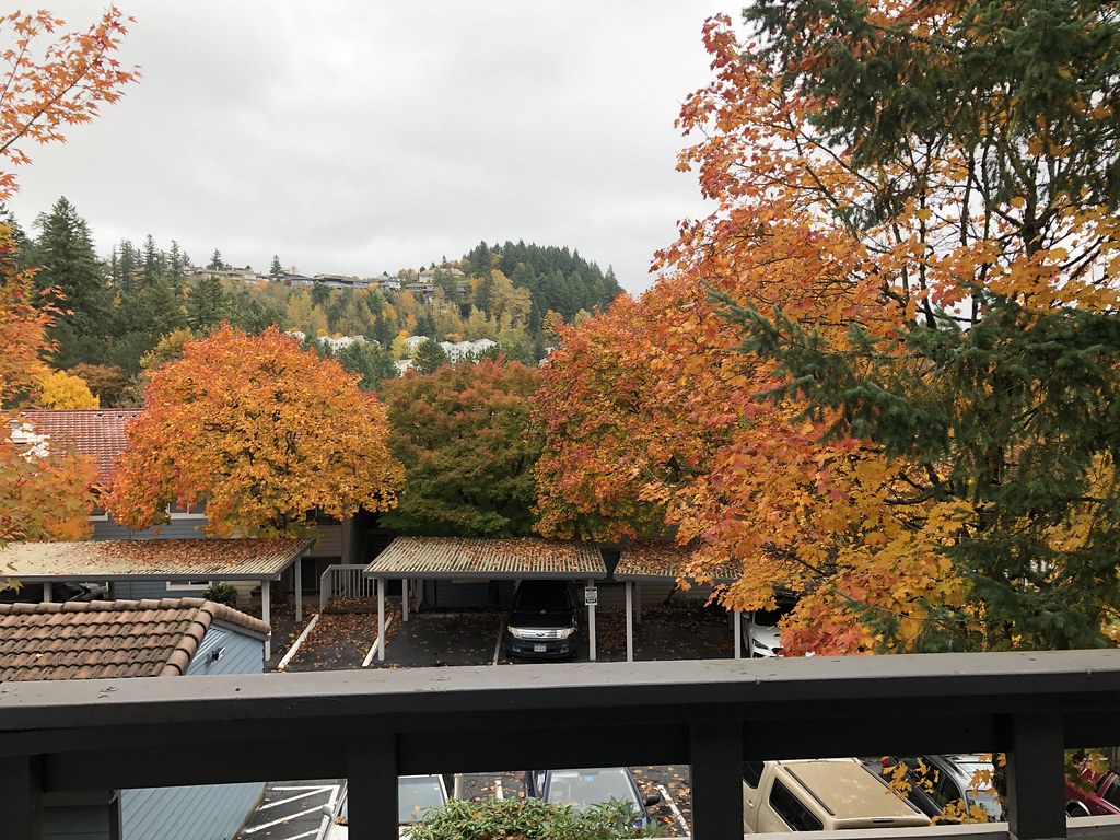 8150 SW Barnes Road Flickr