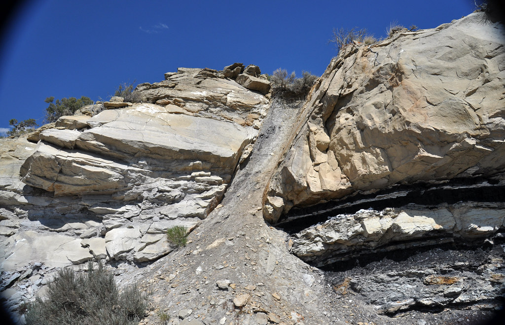 Sandstonecoaltonsteins (Ericson Sandstone over Rock Springs Formation