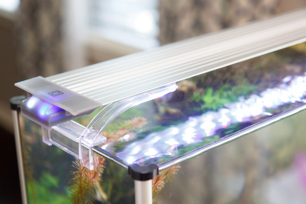 Finnex Planted+ 24/7 HLC Aquarium Light Review SpecTanks