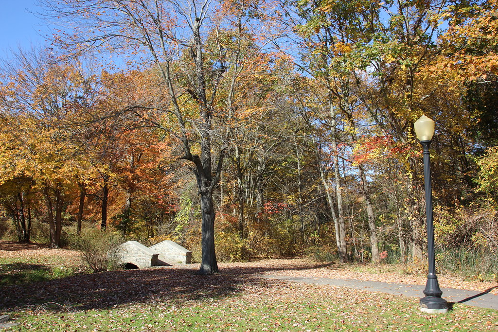 IMG_1339 Slater Park Foliage comtrag Flickr