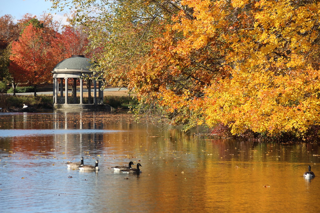 IMG_0923 Slater Park Foliage comtrag Flickr