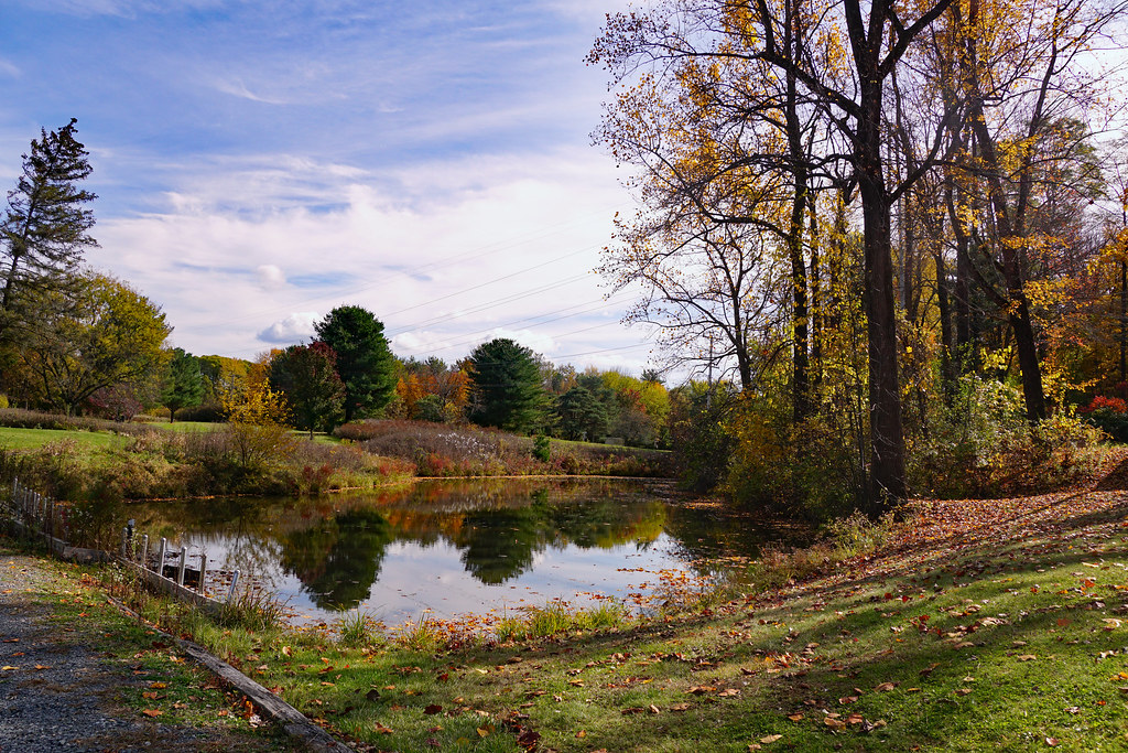 Colonial Acres Park colors Tricia Spencer Flickr