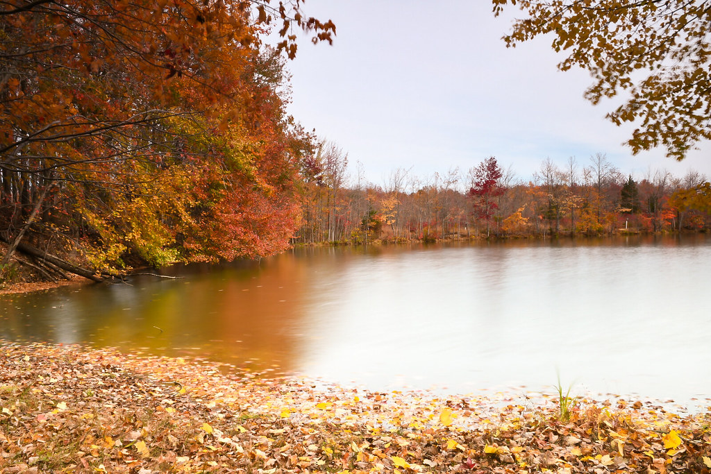 Fall colors in Plainsboro Audubon Preserve, New Jersey Flickr