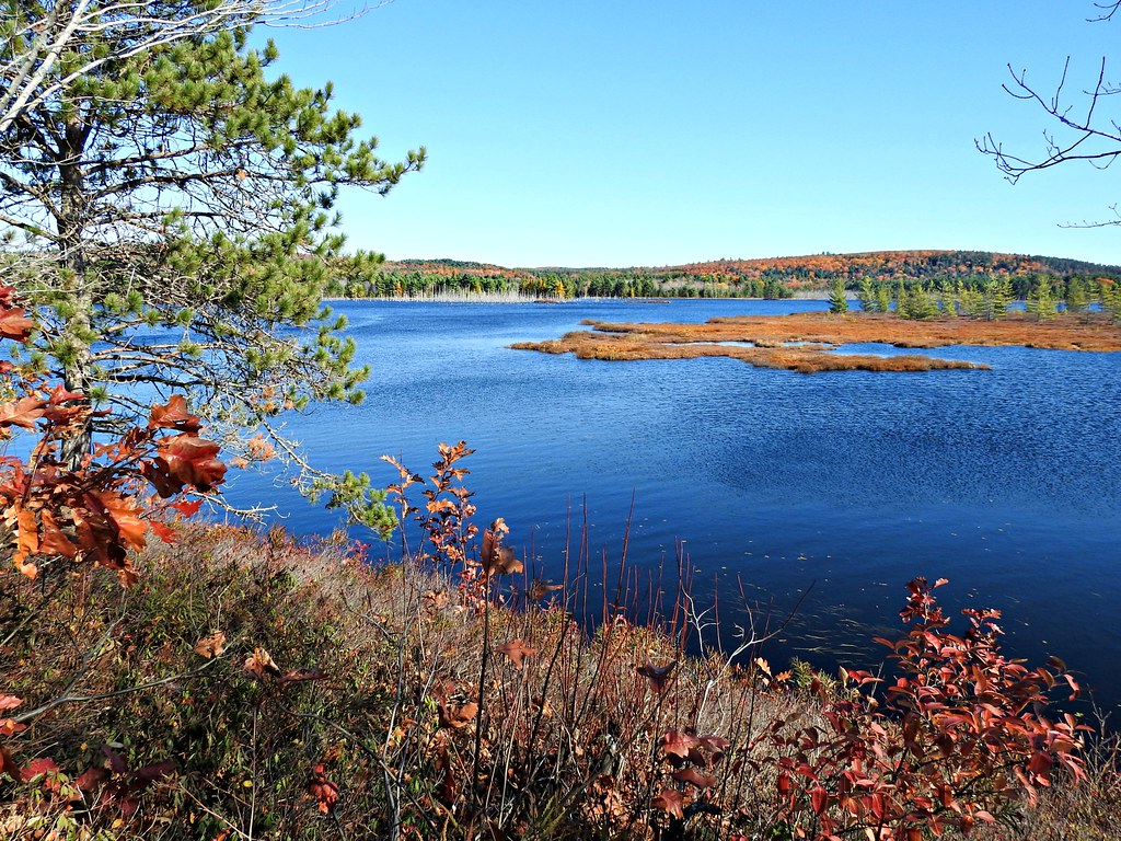 Bog Brook Flowage Beddington, Maine DSCN9185 (2) maryalley904 Flickr