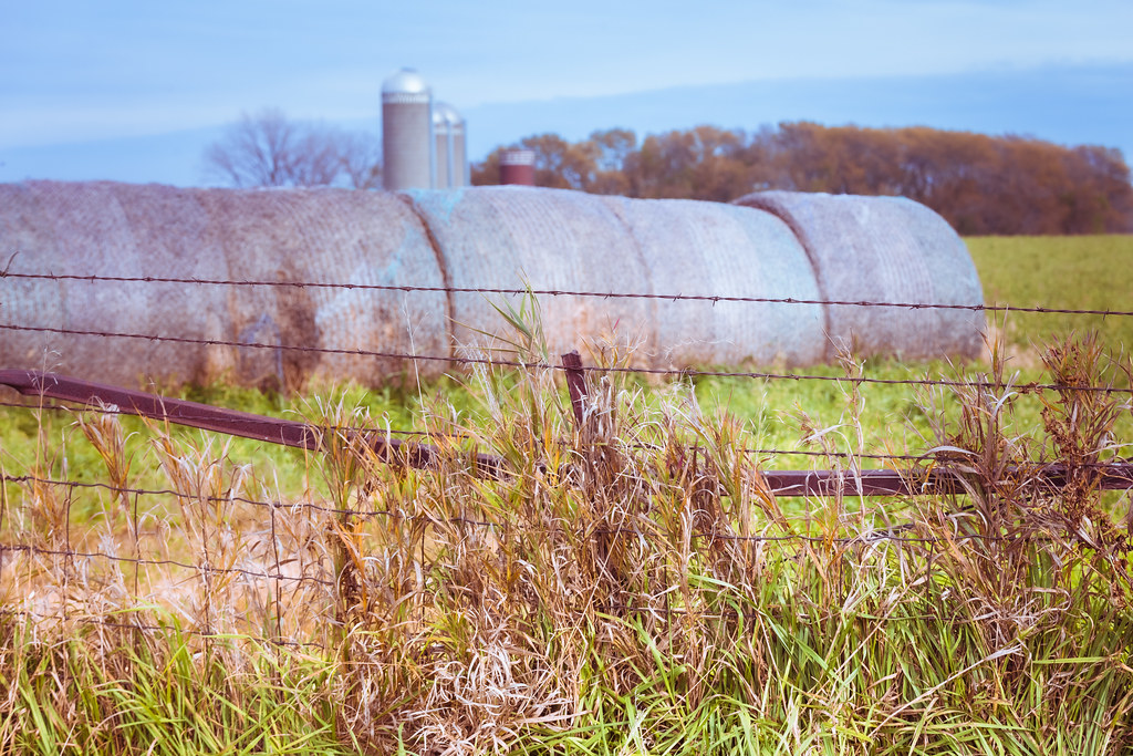 Fall Walk at Mitchellville Park This is my "go to" each Fa… Flickr